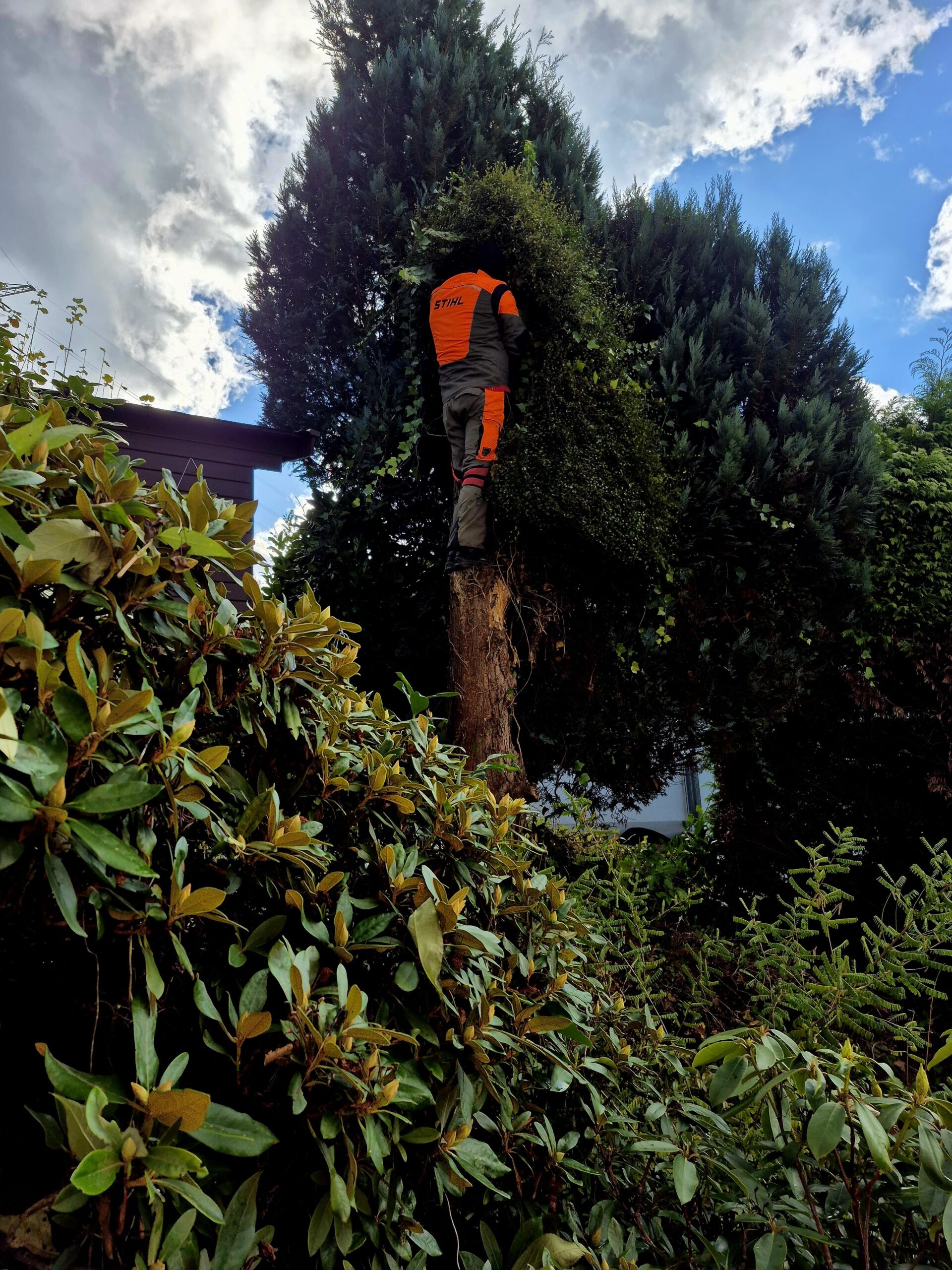 Landschaftspflege und Gartenpflege