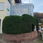 Bodnar Dienstleistung UG