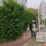 Bodnar Dienstleistung UG