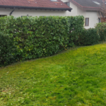 Bodnar Dienstleistung UG