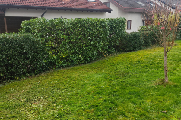 Bodnar Dienstleistung UG