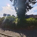 Bodnar Dienstleistung UG